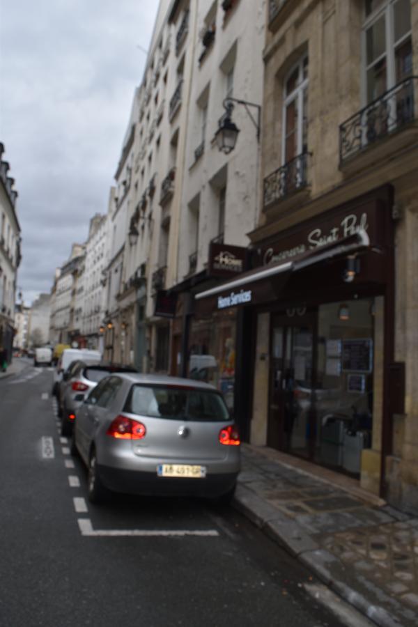 Duplex Saint Germain Odeon * Paris